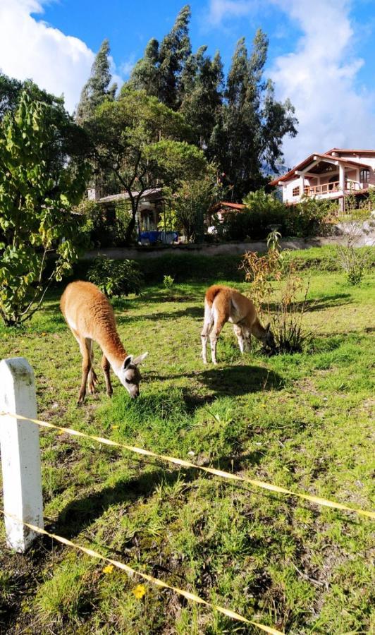 Quinta Sierra De Fuego Bed & Breakfast Penipe Exterior foto